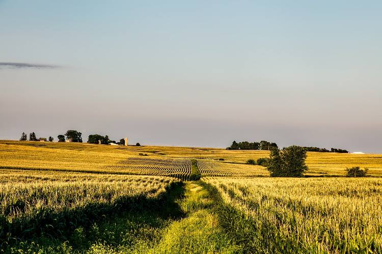 Iowa-Bill Bryson-on the road